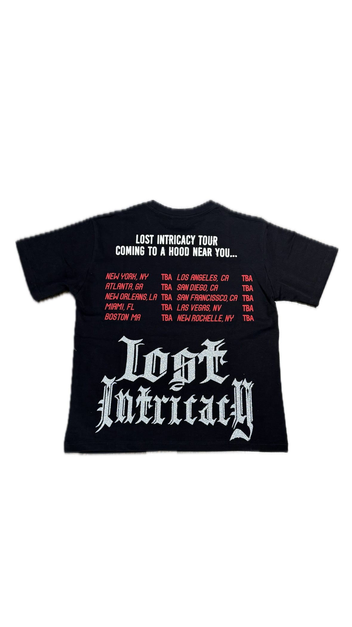 Lost Intricacy Snake Tour Tee